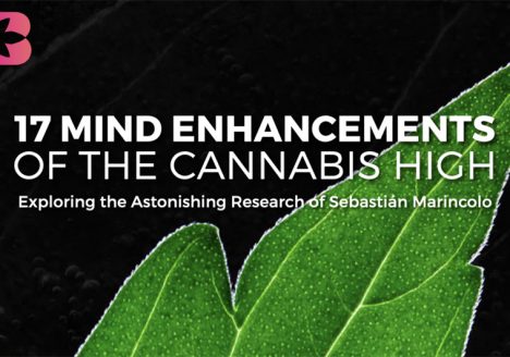 Ebook 17 Mind Enhancements of the Cannabis High by Gregory Frye and Sebastian Marincolo, cannabis art, cannabis and creativity, sebastian marincolo