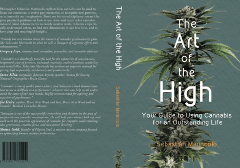 Book Cover of "The Art of the High. Your Guide to Using Cannabis for an Outstanding Life" by Sebastian Marincolo