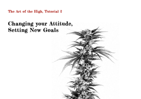 Tutorial über die Kunst des Highs von Sebastian Marincolo, Cannabis Pflanze