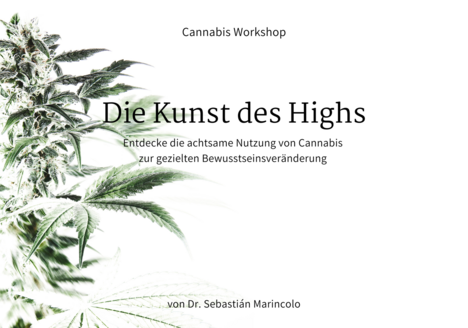 Cover des interaktiven Workshops von Sebastian Marincolo über die Kunst des Highs, Cannabis Pflanze